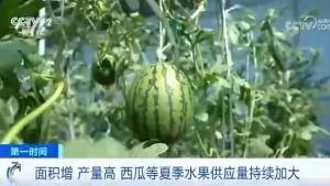 门黑料吃瓜区最新回放,揭秘幕后真相，带你走进事件核心