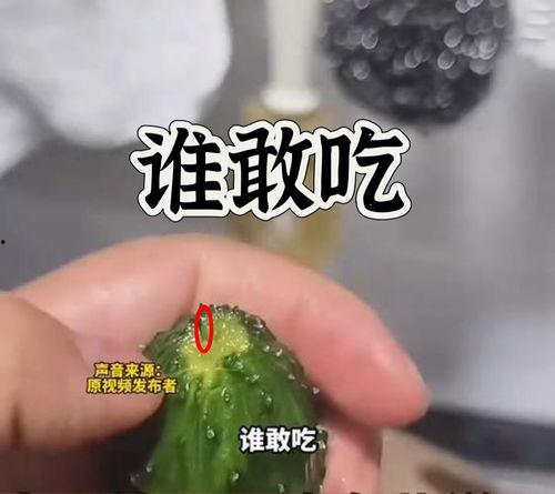 51今日黑瓜吃料爆料fun,fun爆料，揭秘娱乐圈最新热点