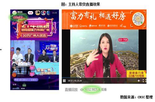 明星网红直播热点,明星网红热点盘点，揭秘热门话题背后的故事