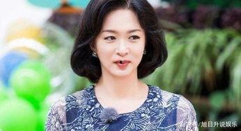 碗团明星网红,美食界的璀璨新星