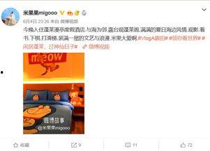 明星网红打卡地点,明星同款热门地点大盘点