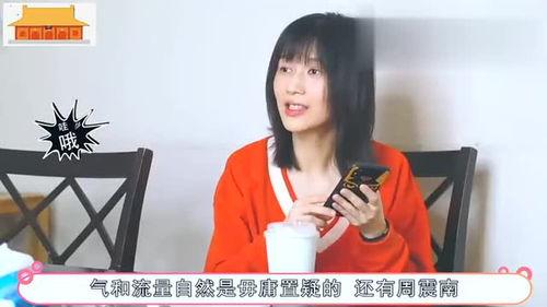 明星网红新综艺,明星网红新综艺大揭秘