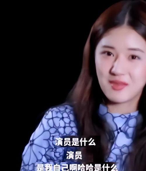 明星网红无文化,明星光环下的文化缺失与反思”