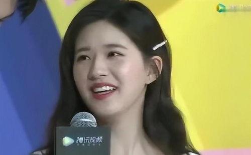 明星网红无文化,明星光环下的文化缺失与反思”
