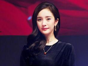 21年明星网红,璀璨星光下的网络影响力解析