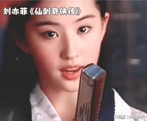 明星网红相似脸,明星网红相似度惊人，揭秘网红与明星的相似之谜！”