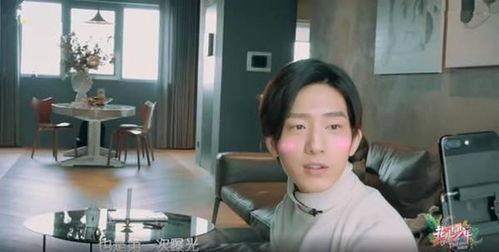 探班明星网红,明星网红的日常揭秘
