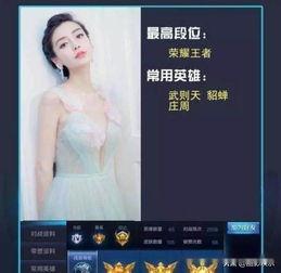 明星网红游戏id,个性与魅力的完美融合