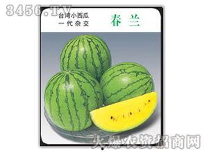 吃瓜娱乐圈小兰花,娱乐圈的甜蜜瓜果，揭秘明星背后的故事