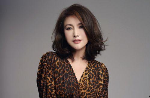 明星网红是什么