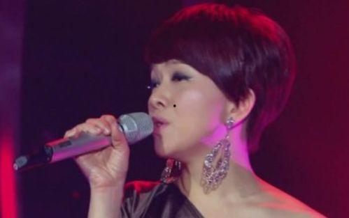 解说歌曲明星网红,明星、网红的跨界魅力之旅