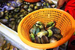 三亚吃瓜黑料,揭秘背后的真相与争议