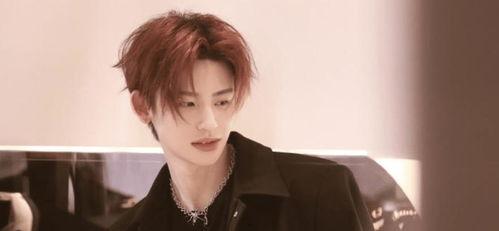 举报明星网红炒作,明星网红炒作事件深度揭秘