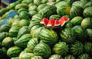 黑料吃瓜网66fxw,带你走进网络八卦的神秘世界