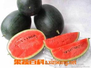 黑料社网红吃瓜,揭秘娱乐圈背后的惊人真相