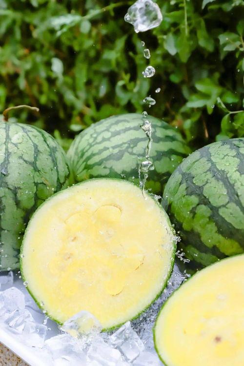 166.su 吃瓜黑料在线,揭秘吃瓜黑料，带你领略网络舆论的真相