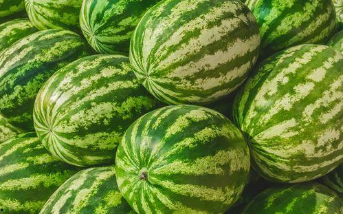 61大赛吃瓜黑料,揭秘幕后真相与争议焦点