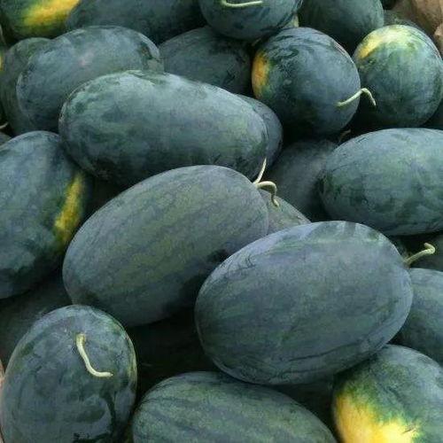 黑料104pro吃瓜,揭秘娱乐圈的瓜田秘闻