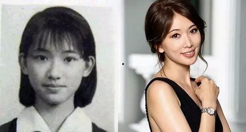 明星网红同台照,明星网红同框，跨界盛宴精彩瞬间