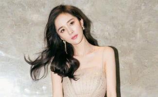 明星网红黑料网