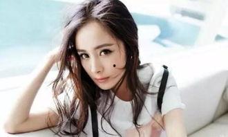 明星网红黑料网