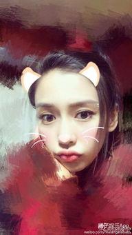 明星网红的最爱,揭秘他们的最爱