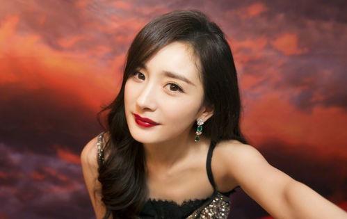 明星网红的最爱,揭秘他们的最爱