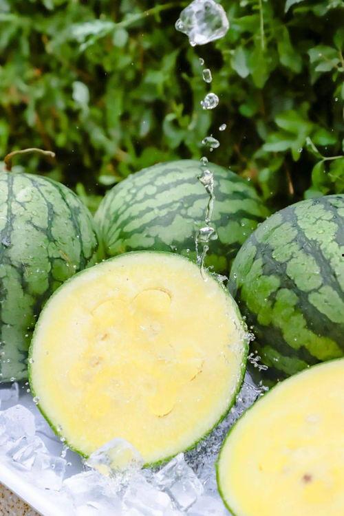 黑料吃瓜网799速下载,799速下载背后的秘密大曝光！