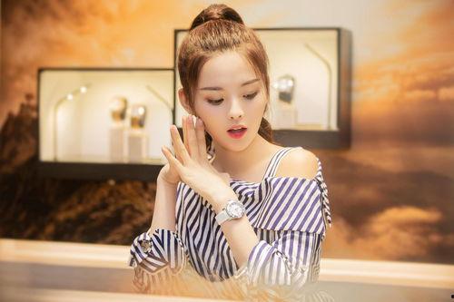 明星网红故事汇,明星网红背后的故事汇