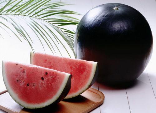 黑料吃瓜网最新官网