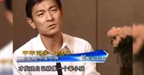 刘姓明星网红,网络红人界的璀璨星辰