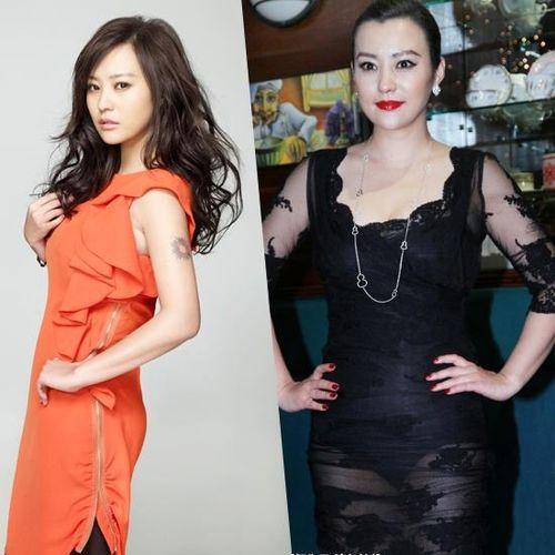 明星网红胖瘦比例,胖瘦比例背后的秘密