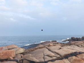 海角吃瓜黑料av导航,AV导航背后的真相与争议