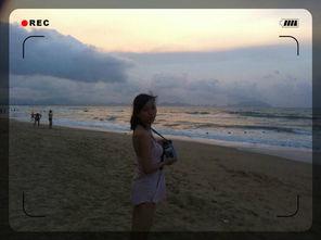 海角吃瓜黑料av导航,AV导航背后的真相与争议